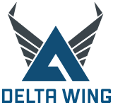 Delta wing holster